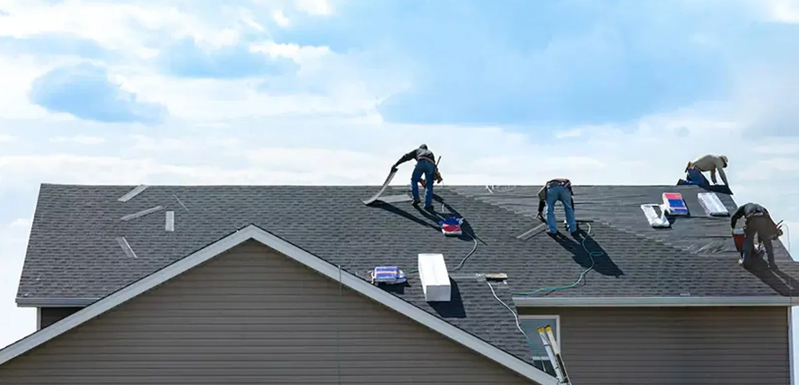 Professional Roofing