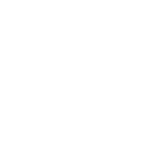 Project icon
